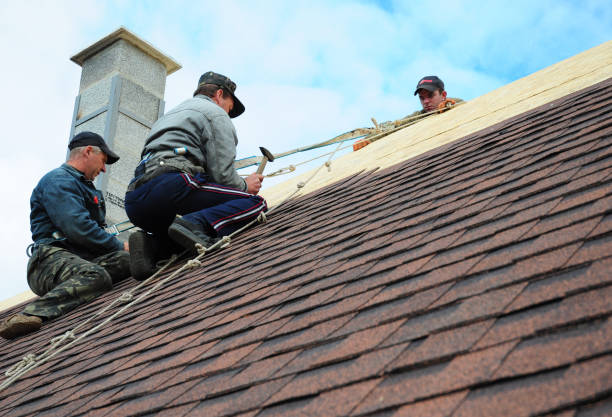 Best Residential Roofing Contractor  in Sabetha, KS